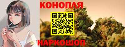 spice Нальчик